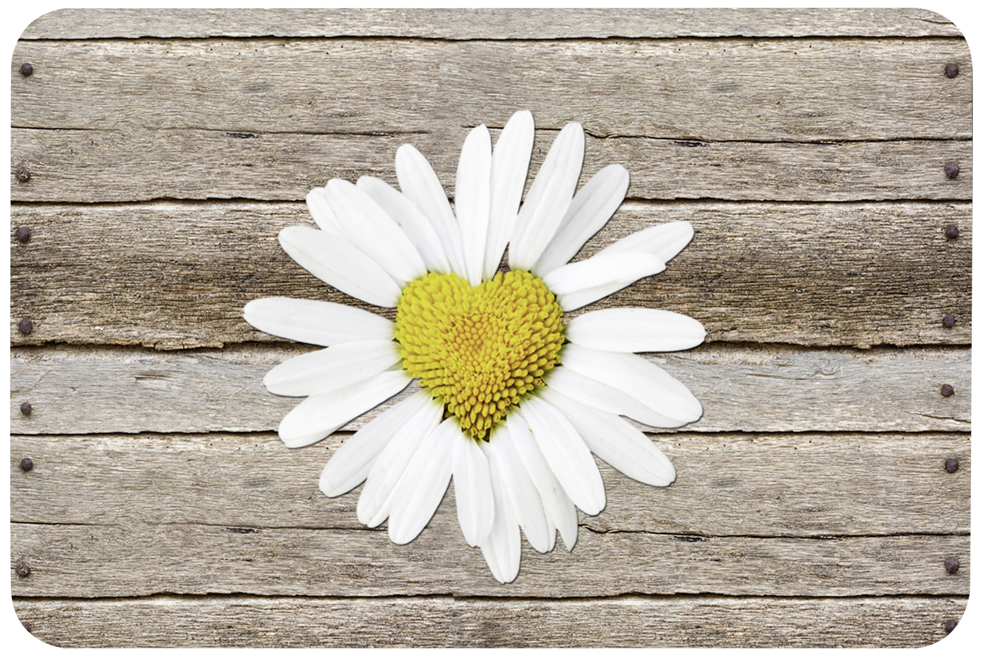 Tischset Blumen, rechteckig