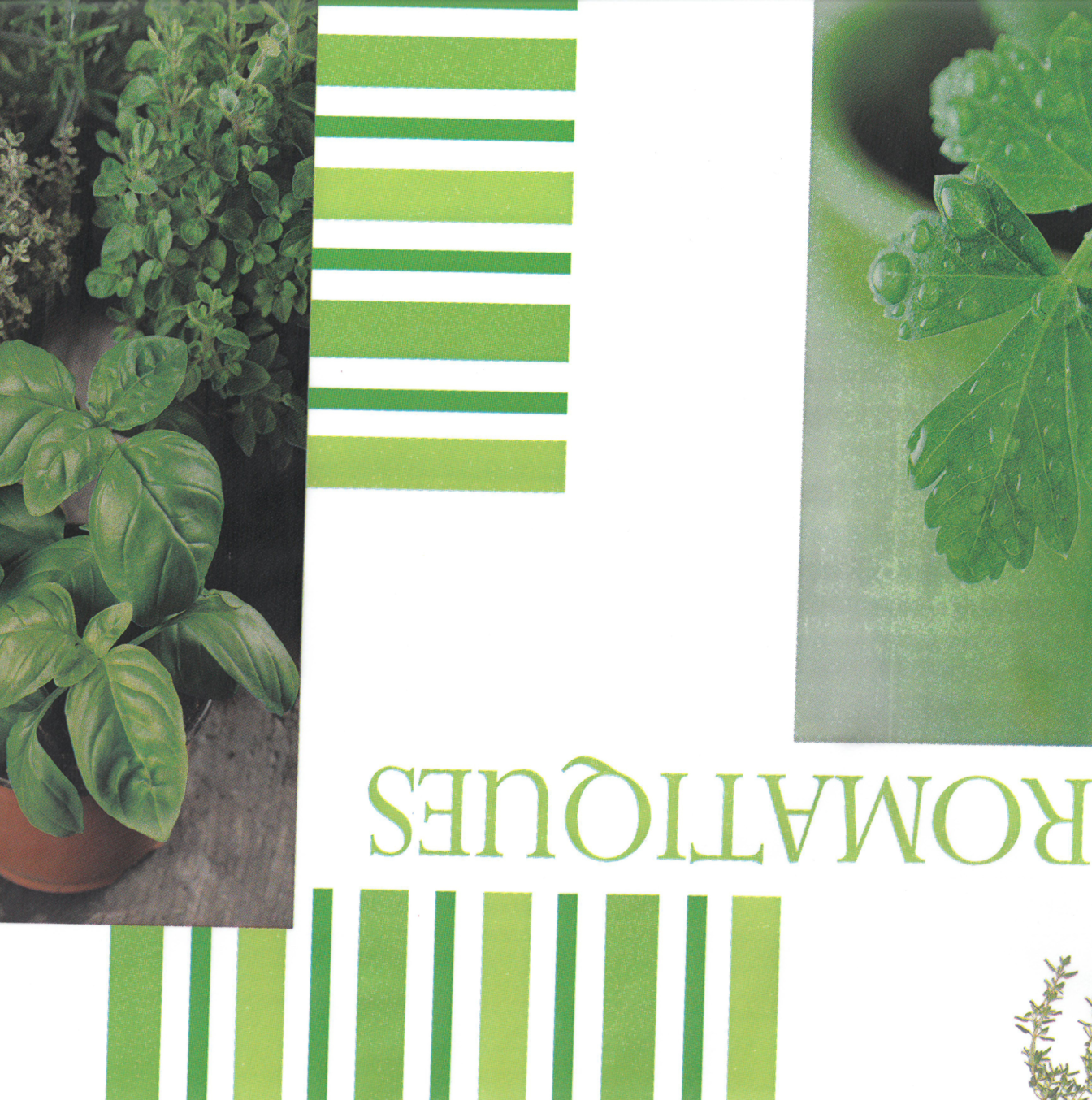 Wachstischdecke Pflanzen