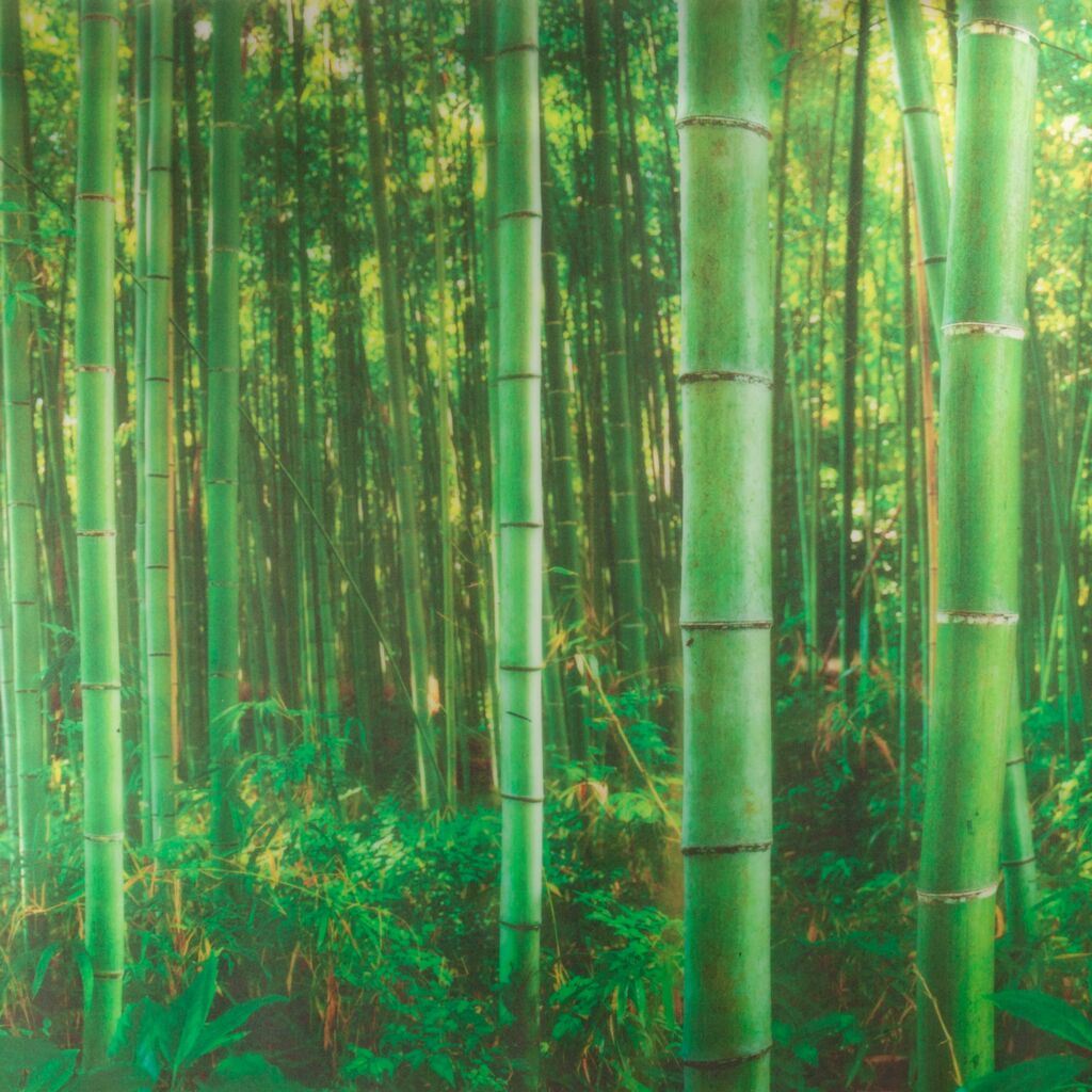 Vitrostatic Fensterfolie Bamboo - 67,5x150cm | Venilia
